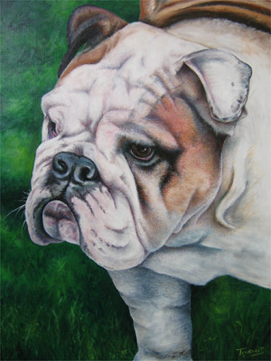 Bulldog.jpg